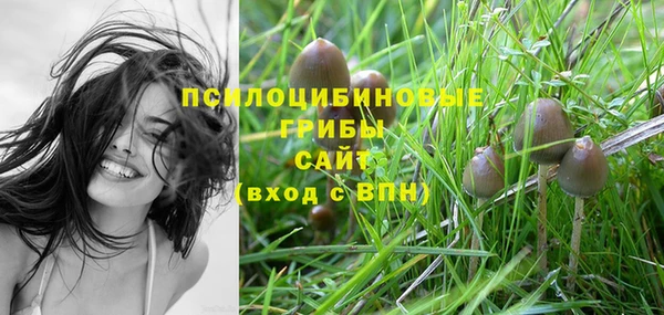 ешки Волосово