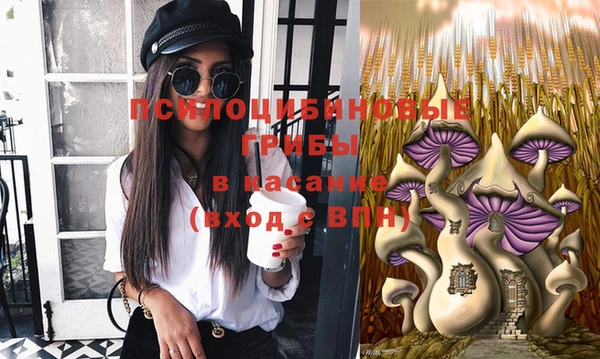 ешки Волосово