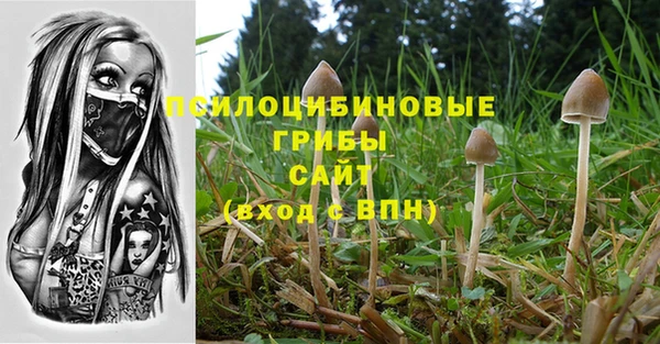 PSILOCYBIN Володарск