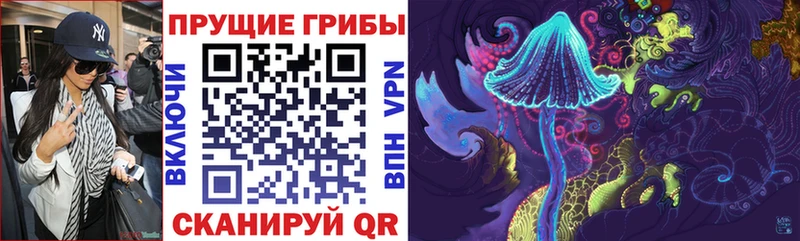 Галлюциногенные грибы Magic Shrooms  Купить где  Ливны 